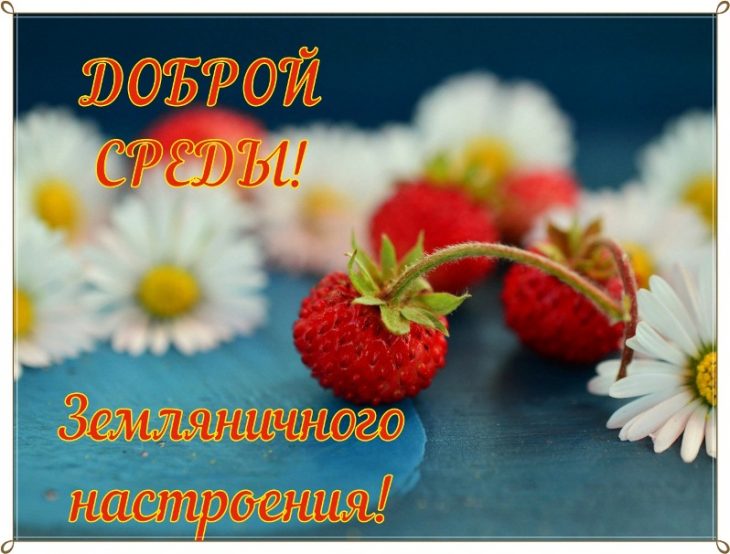Открытки